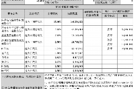 雄安新区债务清欠服务